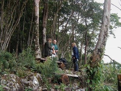 Exchange with O'reilly's Rainforest Retreat Canungra QLD Australia 6