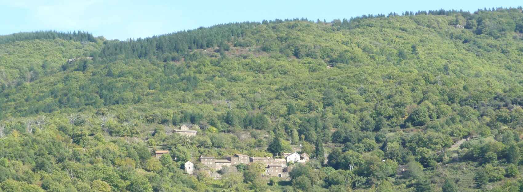 Laval d'Aurelle