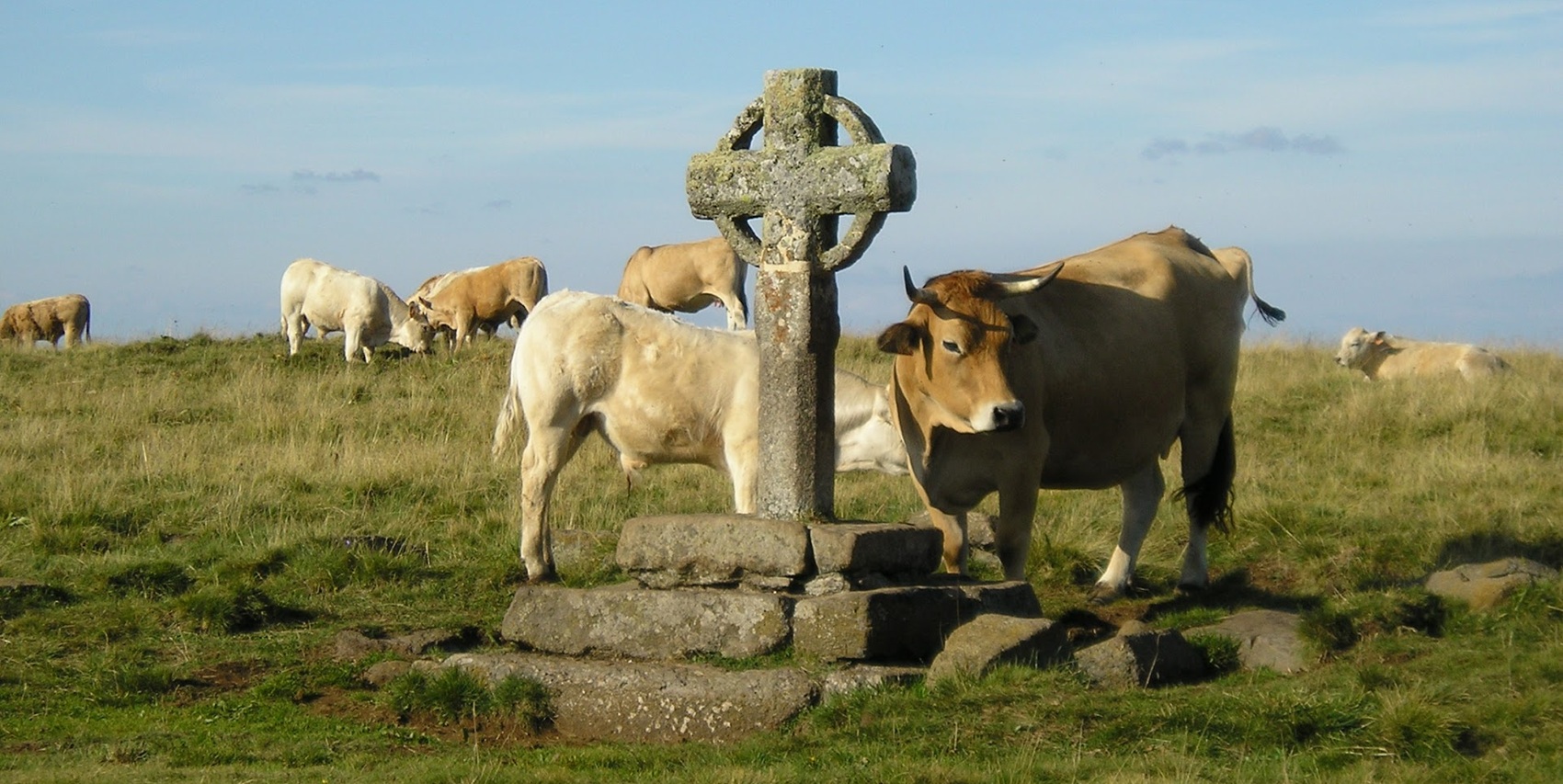 Altopiano dell'Aubrac