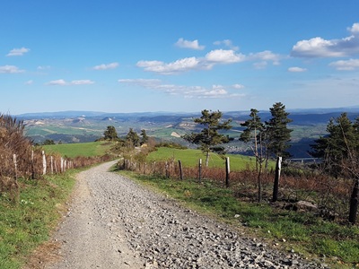 Escursione sull'Altopiano dell'Aubrac 12