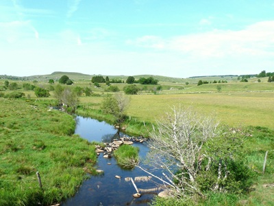 Escursione sull'Altopiano dell'Aubrac 15