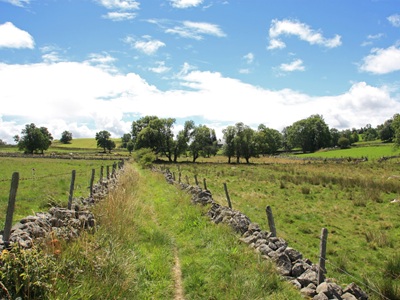 Escursione sull'Altopiano dell'Aubrac 16