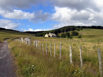 1 Escursione sull'Altopiano dell'Aubrac