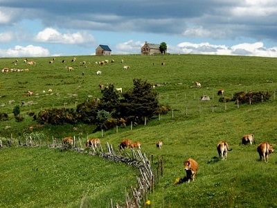 L'Aubrac zwischen Lozère, Aveyron und Cantal 2