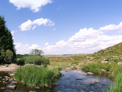 Escursione sull'Altopiano dell'Aubrac 17