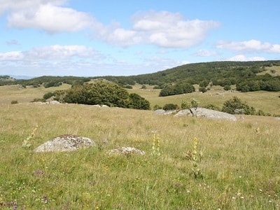 L'Aubrac zwischen Lozère, Aveyron und Cantal 4