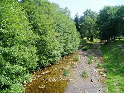 The Allier at La Bastide-Puylaurent