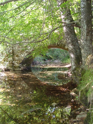 L'Allier à Masméjean