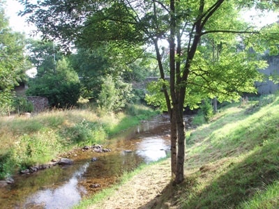 The Allier River in Luc 5
