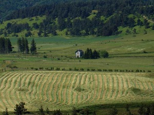 Plateau de Montbel