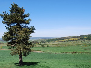 Lozère