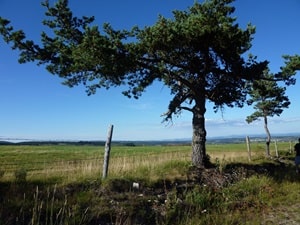 Caminata de 21,7 km en Châteauneuf-de-Randon 2