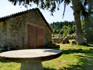 Caminata de 21,7 km en Châteauneuf-de-Randon 3