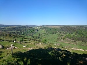 Caminata de 21,7 km en Châteauneuf-de-Randon 4