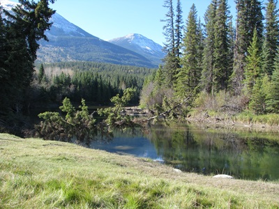 贾斯珀国家公园位于加拿大艾伯塔省落基山脉 10