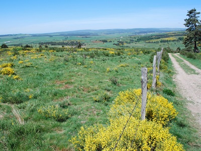 Le Moure de la Gardille
