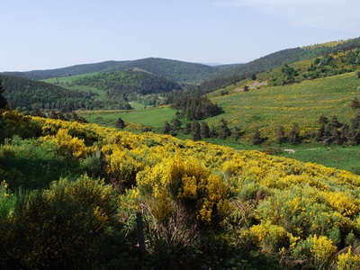 Summit of the Moure de la Gardille