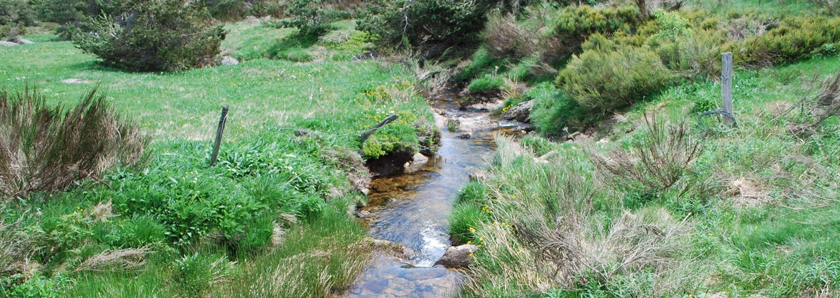 Les sources de l'Allier sur le Moure de la Gardille