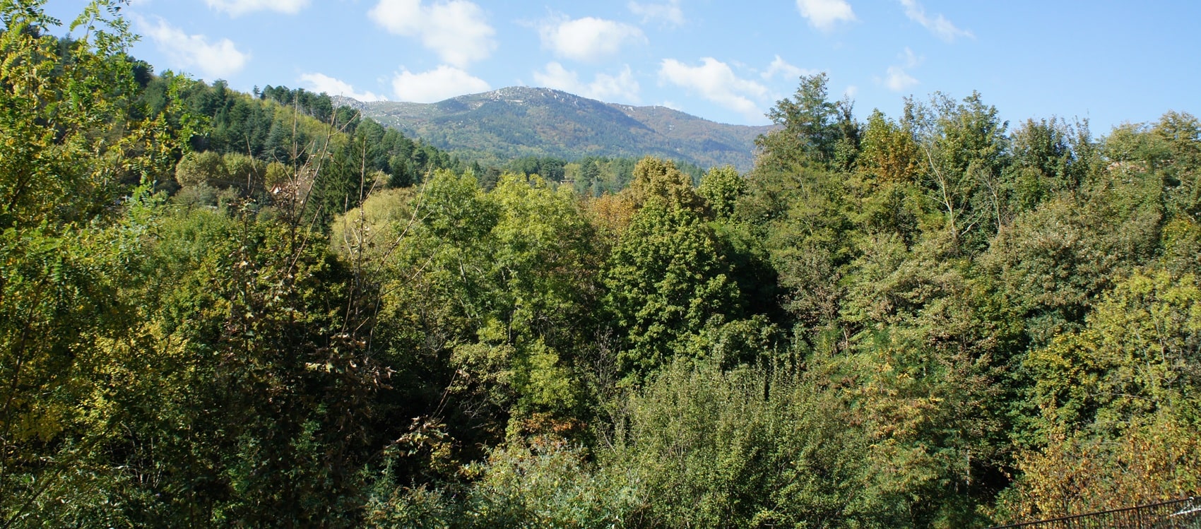 Cévennes