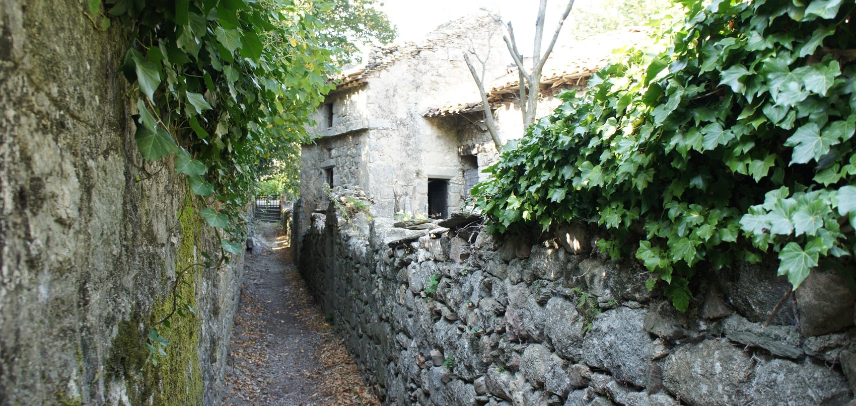Gata i Génolhac