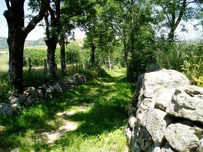 GR700