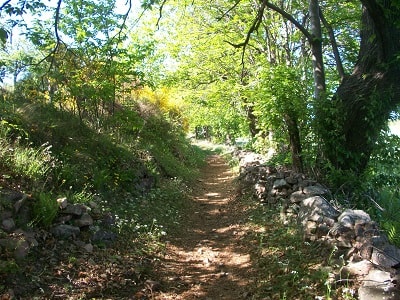 Histoire du village médiéval de La Garde-Guérin 3