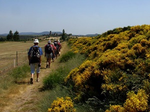 Randonnée de 20km à La Garde-Guérin 2