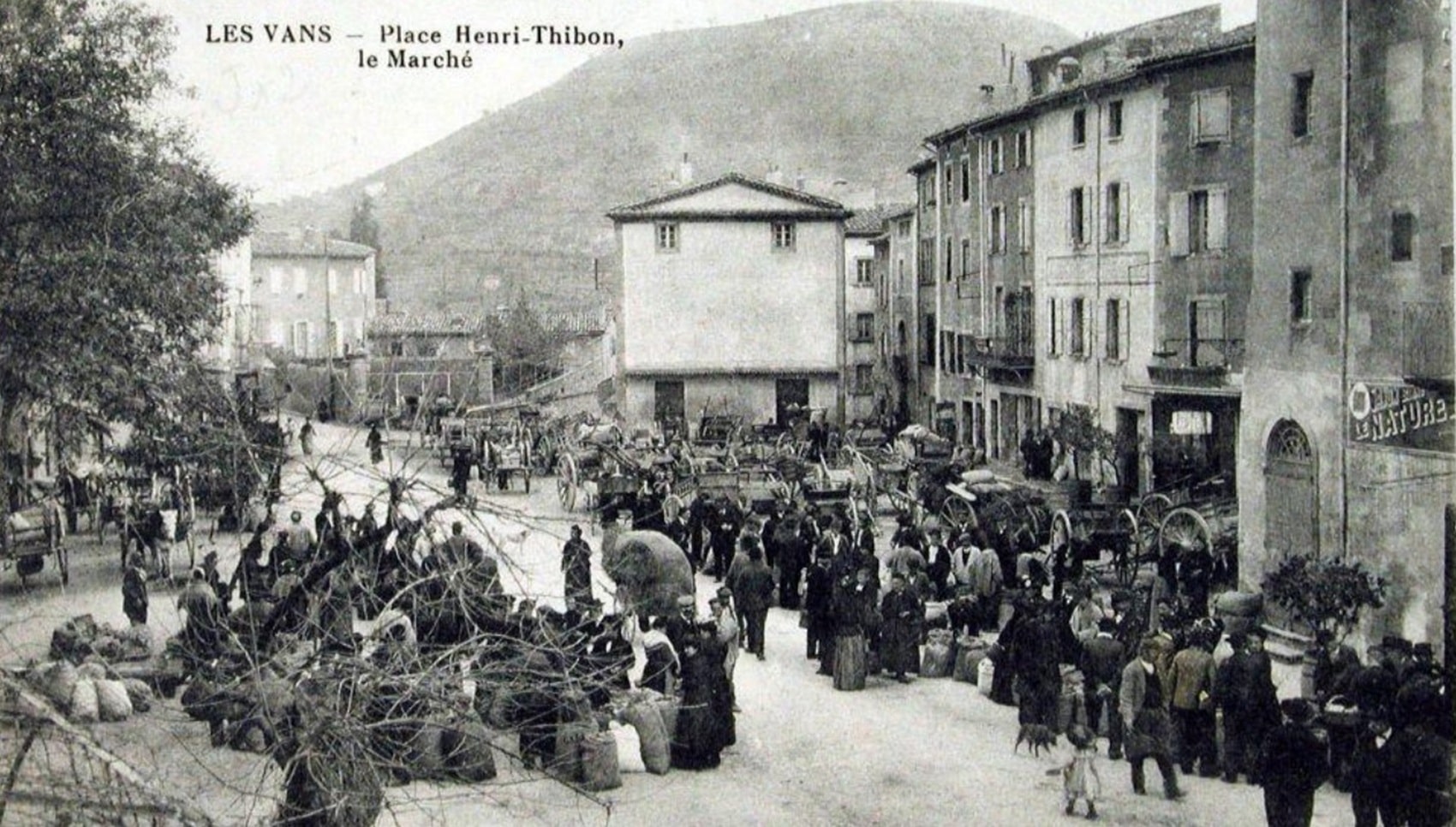 Le marché des Vans