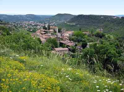 Le pays des Vans