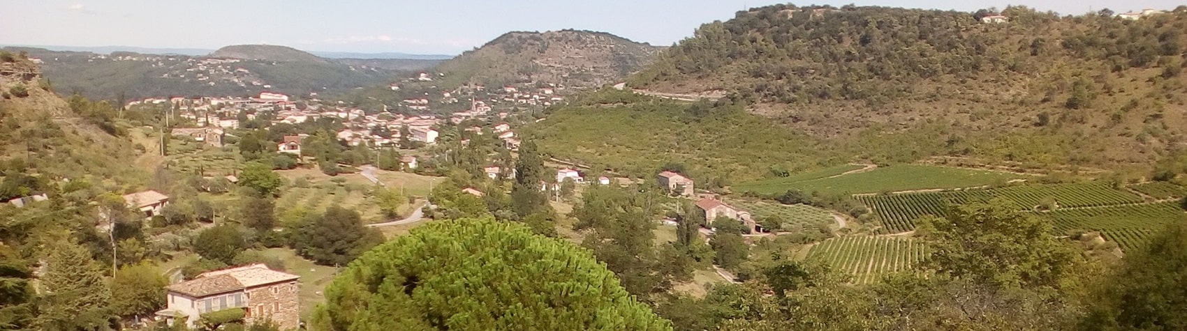 Région des Vans