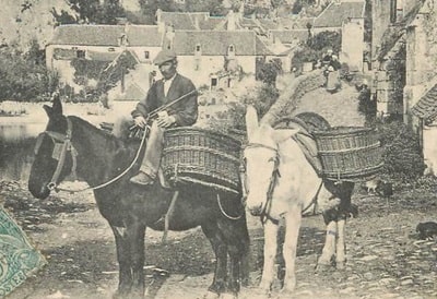 Οι μουλαράδες του Βιβαρά σε Υψηλή Αρντέτζα 1
