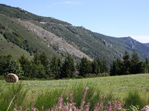 Ardèche-bergen