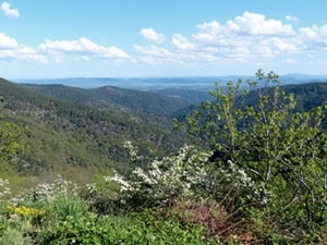 Vallei van Valgorge