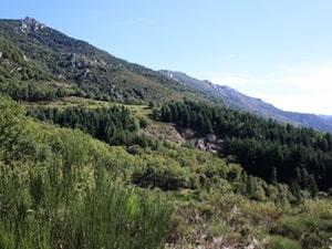20,5 km Wandeling in Loubaresse 1