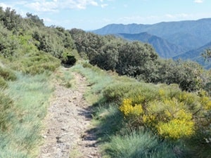 20,5 km Wandeling in Loubaresse 5