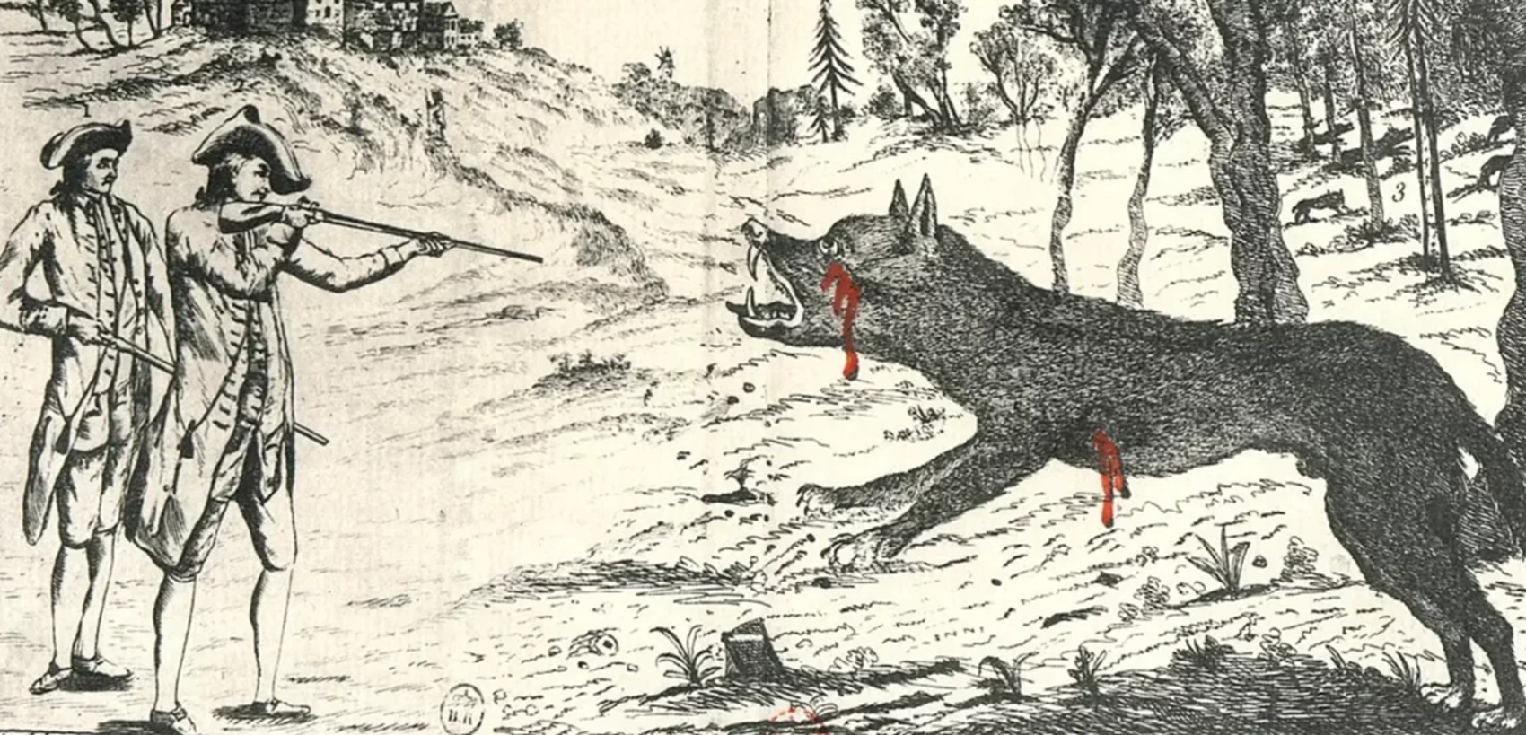 Le loup du Gévaudan