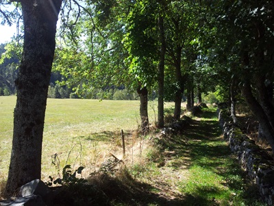 Die Margeride in Lozère 5