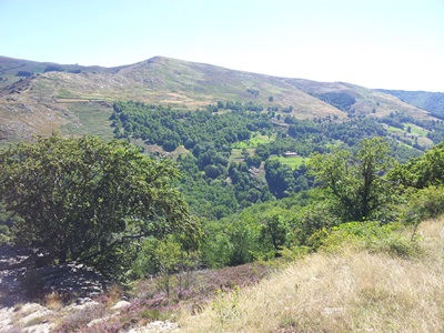 Die Margeride in Lozère 6