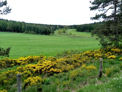 Die Margeride in Lozère 1