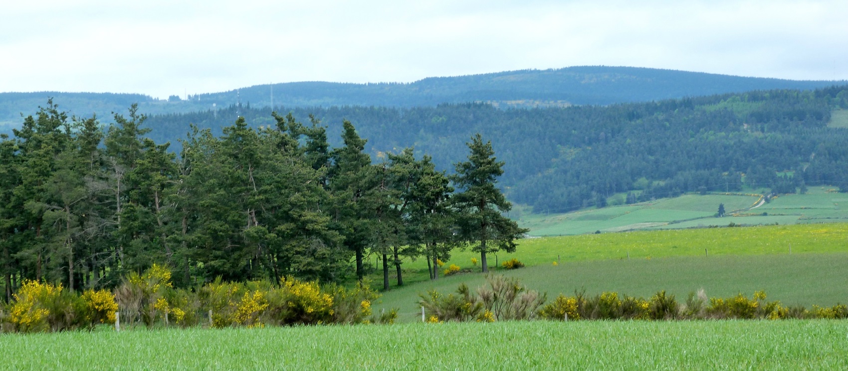 Die Margeride in Lozère