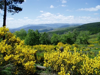 Die Margeride in Lozère 15