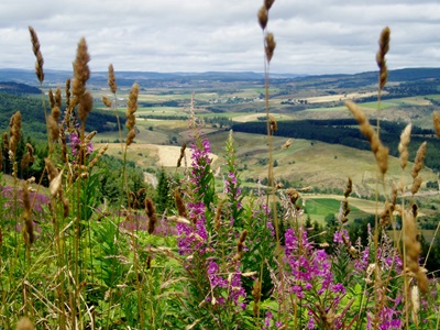 Die Margeride in Lozère 16