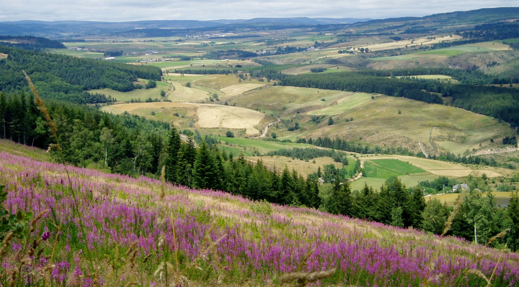 Das Departement Lozère in Okzitanien