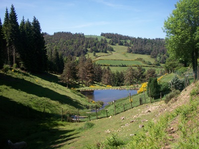 Die Margeride in Lozère 11