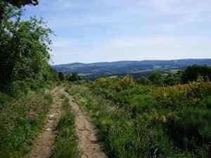 Rundvandring på 19 km fra Luc i Lozère 2