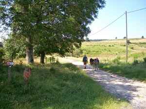 19 km Loop Hike Starting from Luc in Lozère 3