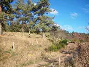 21 km rundtur fra Luc i Lozère 1