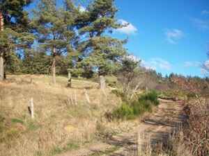 21 km loop hike starting from Luc in Lozère 1