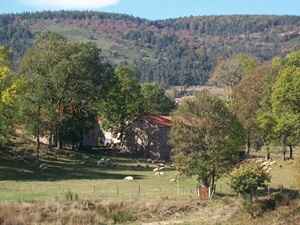 Loop hike of 8.8 km starting from Luc in Lozère 2
