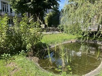 Garden and pond